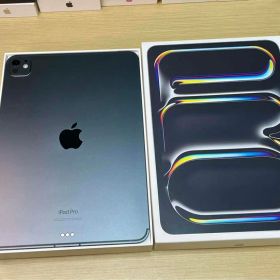 【美品】iPad Pro 11 M4 WiFi+Cellular