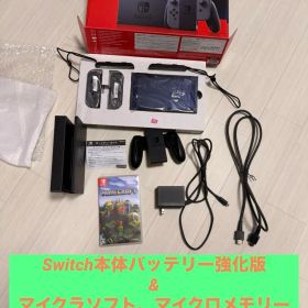 Nintendo Switch 本体 + マイクラ マイクロメモリー64G
