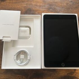ほぼ未使用 iPad mini第5世代 64GB Wi-Fi スペースグレー