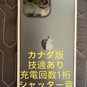 Apple iPhone 16 Pro Max Black 256GB CA版