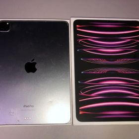 iPad Pro 11インチ 第4世代 Wi-Fi 128GB+Pen M2