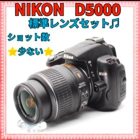 ⭐NIKON D5000⭐ショット数少⭐大人気