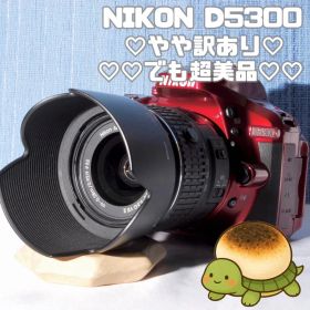 ✨Wi-Fi搭載モデル！レアカラー✨レッド✨D5300✨