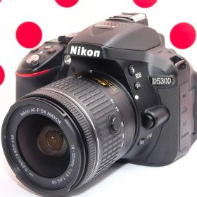 Nikon D5300❤スマホに転送❤Wi-Fi搭載❤動画＆自撮りラクラク！