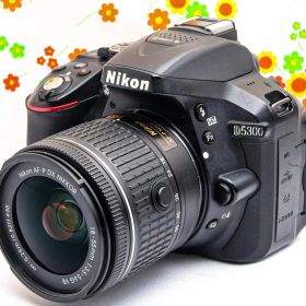 ニコン Nikon D5300☆WIFI機能付♪☆動画撮影可☆一眼レフ☆自撮り可
