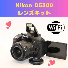 ★美品★Wi-Fi搭載★ Nikon D5300 自撮り 動画 画面回転 ニコン