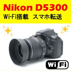 ✨美品✨ Nikon D5300 ショット数285回 Wi-Fi搭載 スマホ転送