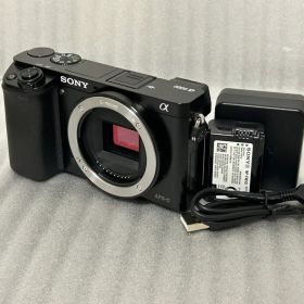 SONY α6000 ボディ 194