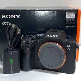 【約4万回‼︎】SONY α7III ILCE-7m3 a7III