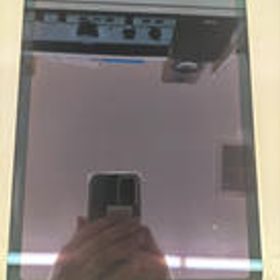 IPAD AIR MYG02J/A APPLE