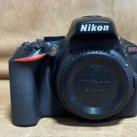 実働品 Nikon D5600 バッテリー付き