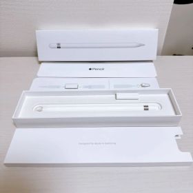 【美品 動作確認済み】 Apple Pencil 第1世代&USB-Cアダプター