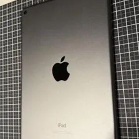Apple iPad mini5 グレー 本体 箱付き