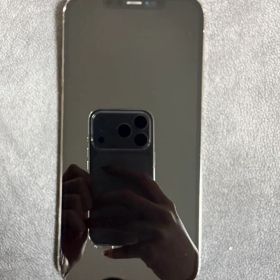 256GB AppleiPhone12ProMaxグラファイト本体