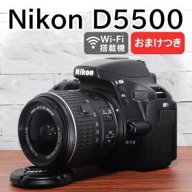 ✨ショット数46回 ほぼ新品 バック付き✨Nikon D5500レンズセット