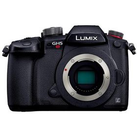パナソニック ミラーレス一眼カメラ ルミックス GH5S ボディ ブラック DC-GH5S-K
