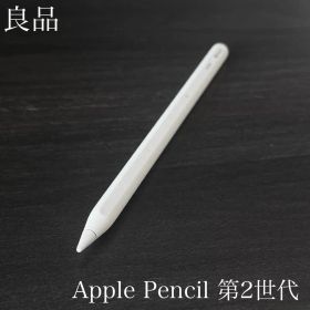 良品 正常動作確認 Apple Pencil 第2世代 MU8F2J/A r7