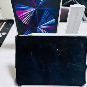 iPad Pro 11インチ シルバー Apple Pencil2付き