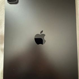 Apple iPad Pro 11インチ スペースグレー