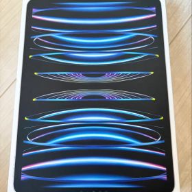 バッテリー100% 11インチiPad Pro 128GB Wi-Fi 第4世代