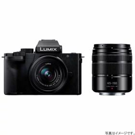 Panasonic ミラーレス一眼カメラ LUMIX DC-G100DW ダブルズームレンズキット【訳あり：倉庫移動中に外箱傷あり】