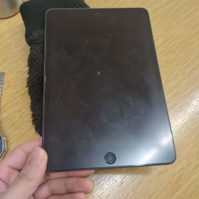 iPad mini 5 256GB スペースグレー 本体