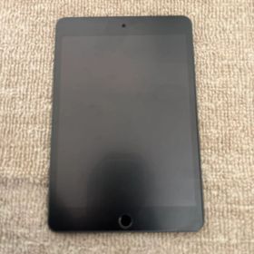 【動作良好】iPad mini 5 スペースグレーWi-Fiモデル 7.9インチ