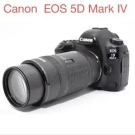 Canon EOS 5D Mark IV /Canon EF 100-300mm
