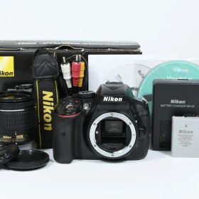【美品】 ニコン Nikon D5300 レンズキット