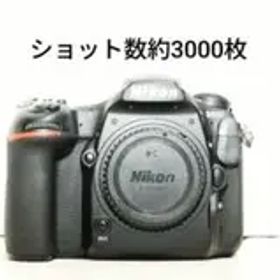 ショット数約4000枚NIKON D500 デジタル一眼レフ