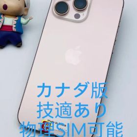 Apple iPhone 16 Pro Max Desert 256GB CA版