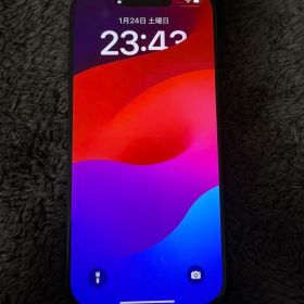 Apple iPhone 16 Pro ブラックチタニウム 本体