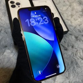 Apple iPhone 13 Pro シルバー 本体