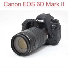 Canon EOS 6D Mark II /Canon EF 75-300mm