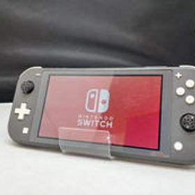 【junk】SWITCHLITE HDH-001 NINTENDO