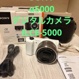 【フルセット】 SONY α5000 デジタルカメラ ILCE-5000 ケース
