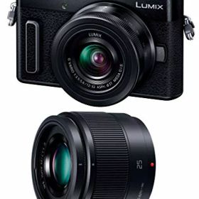 パナソニック ミラーレス一眼カメラ ルミックス GF10 ダブルレンズキット 標準ズームレンズ/単焦点レンズ付属 ブラック DC-GF10W-K