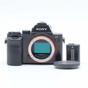 SONY α7ボディ ILCE-7 ショット数 10951回