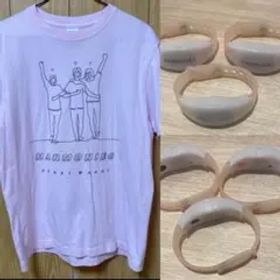 清春ハーモニーズTシャツMサイズ&ライトどれか１つ+チラシ