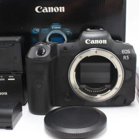 10000ショット以下！Canon EOS R5 キヤノン