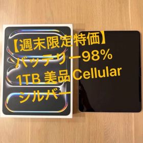 iPad Pro M4 13インチ Cellular シルバー1TB 標準ガラス