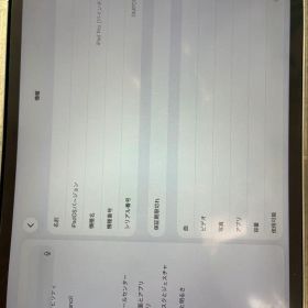 iPad Pro 第二世代 11インチ256GB 本体