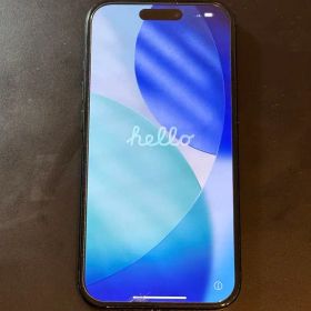 Apple iPhone 15スペースグレー 本体