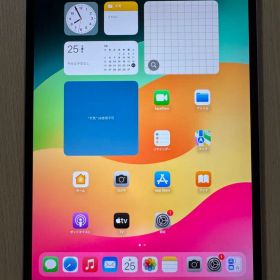 iPad Pro 10.5 インチ 64GB SIMフリー