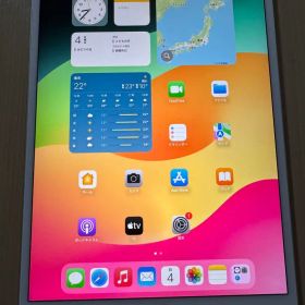 iPad Pro 10.5 インチ 256GB SIMフリー