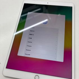 【画面割れあり】Apple iPad Pro 10.5インチ 256GB Cellular A1709 SIMフリー シルバー 本体のみ
