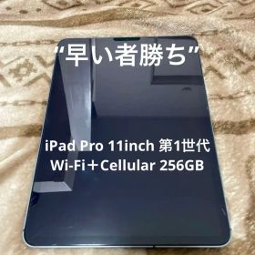 iPad Pro 11インチ第1世代256GB Wi-Fi + Cellular