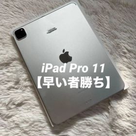 【2/30販売終了】iPad Pro 11インチ 第3世代 256GB 【発送】