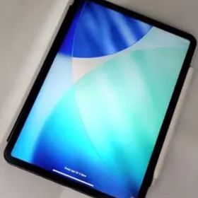 iPad Pro 11インチ 256GB＋Apple Pencil 第2世代