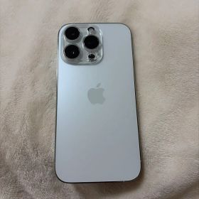 Apple iPhone 14 Pro シルバー 256GB